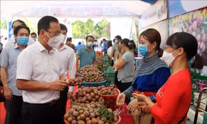 Xúc tiến tiêu thụ các sản phẩm nông sản