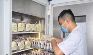 Nỗ lực khắc phục thiếu máu điều trị, kịp thời cứu bệnh nhân
