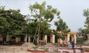 Sẵn sàng cho năm học mới