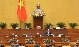Dự án Luật Thanh niên (sửa đổi): Trách nhiệm, sứ mệnh của thanh niên trong xây dựng, bảo vệ đất nước