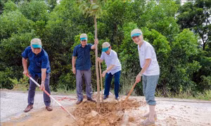 Gần 30 năm trồng 'cây hòa bình' trên vùng đất lửa Quảng Trị