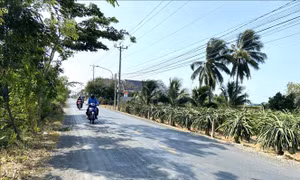 Hai huyện của Long An và Đồng Nai đạt chuẩn nông thôn mới nâng cao​