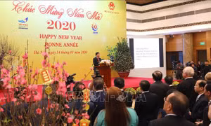 Gặp mặt Đoàn Ngoại giao nhân dịp Tết Nguyên đán Canh Tý 2020
