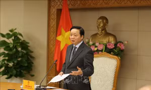 Khẩn trương hoàn thiện khung pháp lý, chuyển sang nhật ký khai thác thủy sản điện tử