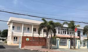 Xử phạt doanh nghiệp không có báo cáo đánh giá tác động môi trường