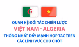 Việt Nam - Algeria thống nhất đẩy mạnh hợp tác trên các lĩnh vực chủ chốt