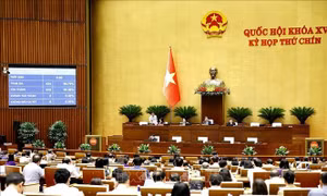 Quốc hội thông qua dự án Luật sửa đổi, bổ sung một số điều của Bộ luật Hình sự