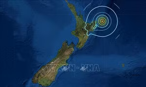 New Zealand công bố công cụ hỗ trợ ứng phó khẩn cấp đối với động đất