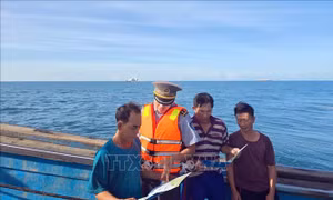 Đà Nẵng tăng giám sát, quyết tâm chống khai thác IUU