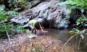 Cộng đồng chung tay bảo tồn động vật hoang dã