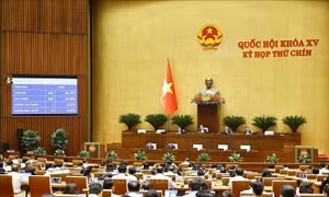 Thông qua Luật Thuế tiêu thụ đặc biệt (sửa đổi), Luật Thuế thu nhập doanh nghiệp (sửa đổi)