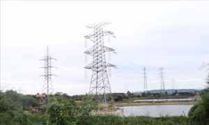 Hỗ trợ thi công đường dây 220kV Nhiệt điện Hải Dương - Trạm 500kV Phố Nối