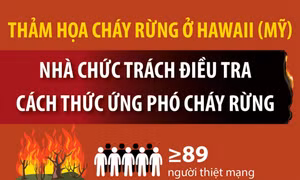Thảm họa cháy rừng ở Hawaii: Nhà chức trách điều tra cách thức ứng phó cháy rừng