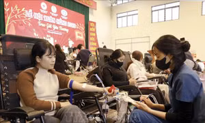 Lễ hội Xuân hồng 2026 - Trao gửi yêu thương tại khu công nghiệp Phú Thọ
