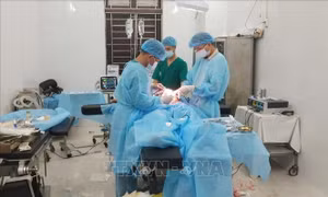 Đảo Sinh Tồn cấp cứu thành công ngư dân bị bệnh khi khai thác hải sản trên biển