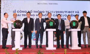 Liên kết xây dựng chuỗi giá trị đáp ứng yêu cầu chất lượng hàng hóa