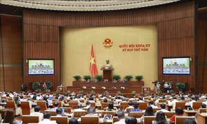 Cử tri Bình Dương đồng tình với kết quả báo cáo giám sát phòng, chống COVID-19