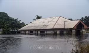 EU hỗ trợ các quốc gia Tây và Trung Phi ứng phó với thảm họa lũ lụt