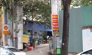 Làm rõ, xử lý sai phạm trong việc Vinafood 2 thu hồi đất công giao cho doanh nghiệp tư nhân