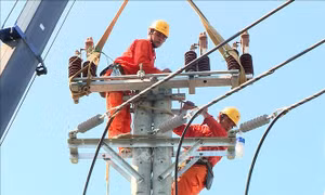 Ngành điện chủ động ứng với phó áp thấp nhiệt đới