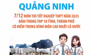 Quảng Ninh: 7/12 môn thi tốt nghiệp THPT năm 2025 nằm trong top 10 tỉnh, thành phố có điểm trung bình môn cao nhất cả nước