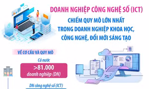 ICT chiếm quy mô lớn nhất trong doanh nghiệp khoa học, công nghệ, đổi mới sáng tạo