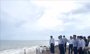 Kiểm tra công tác phòng, chống thiên tai tại Bình Thuận