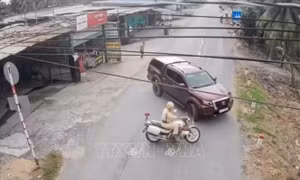 Truy tìm lái xe bán tải chống đối lực lượng làm nhiệm vụ