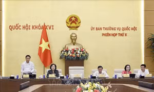 UBTV Quốc hội cho ý kiến về sửa đổi nhiều dự án luật