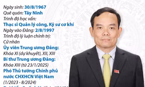 Quá trình công tác của Bí thư Trung ương Đảng, Trưởng Ban Kinh tế Trung ương Trần Lưu Quang
