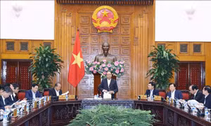 Ban cán sự Đảng Chính phủ họp kiểm điểm công tác năm 2018