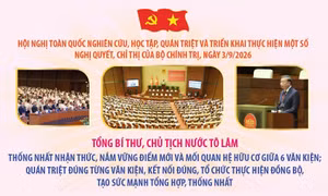 Tổng Bí thư, Chủ tịch nước Tô Lâm: Thống nhất nhận thức, nắm vững điểm mới và mối quan hệ hữu cơ giữa 6 văn kiện