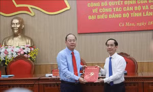 Đồng chí Hồ Thanh Thủy giữ chức Phó Bí thư Tỉnh ủy Cà Mau