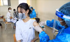Bộ Y tế phân bổ cho thành phố Hà Nội gần 1 triệu liều vaccine Sinopharm