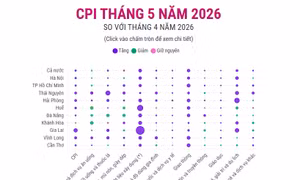 CPI tháng 5 năm 2026 tăng 0,29%