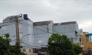 An Giang quy định vùng không được nuôi chim yến