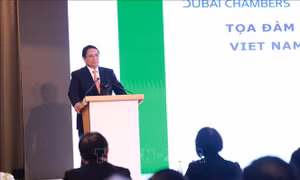 Thủ tướng Phạm Minh Chính dự Tọa đàm doanh nghiệp Việt Nam - UAE