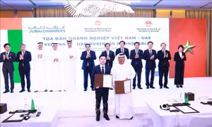 Nhiều tập đoàn lớn của UAE muốn tăng cường hợp tác với Việt Nam