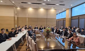 Đảng ủy tại Hàn Quốc xác lập tâm thế mới cho việc triển khai thiết thực, hiệu quả