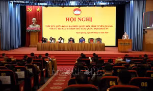 Cần sớm có các văn bản hướng dẫn thi hành luật, không để gián đoạn công việc