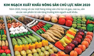 Kim ngạch xuất khẩu nông sản chủ lực năm 2020