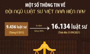 Một số thông tin về đội ngũ luật sư Việt Nam hiện nay