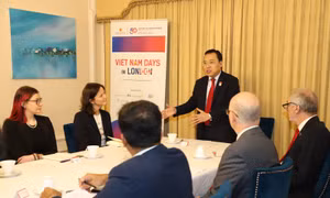 Thúc đẩy hợp tác giữa Việt Nam và các tổ chức phi chính phủ Anh