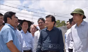 Phó Thủ tướng Trịnh Đình Dũng thị sát phòng chống lũ ở Đồng bằng sông Cửu Long
