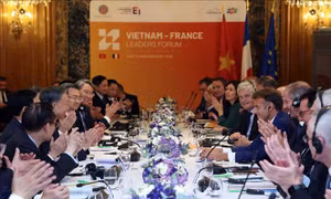 Biến sự gần gũi và niềm tin chính trị Việt - Pháp thành hợp tác cụ thể