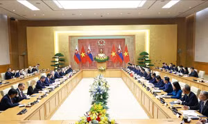 Thủ tướng Lê Minh Hưng hội đàm với Thủ tướng Slovakia Robert Fico