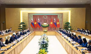 Thủ tướng Chính phủ Lê Minh Hưng hội đàm với Thủ tướng Cộng hòa Slovakia Robert Fico