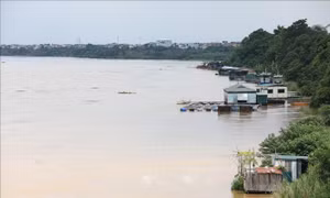Mực nước sông Hồng ở Hà Nội lên nhanh, nguy cơ ngập lụt vùng trũng và bãi bồi