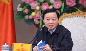 Luật Đường sắt (sửa đổi) cần đáp ứng yêu cầu phát triển dài hạn của hệ thống đường sắt