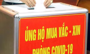 Cộng đồng người Việt tại Đức tiếp tục chung tay hỗ trợ chống dịch trong nước
